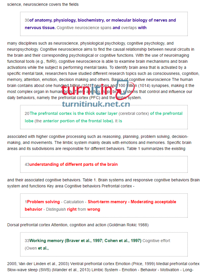 Turnitin highest matches检测报告2