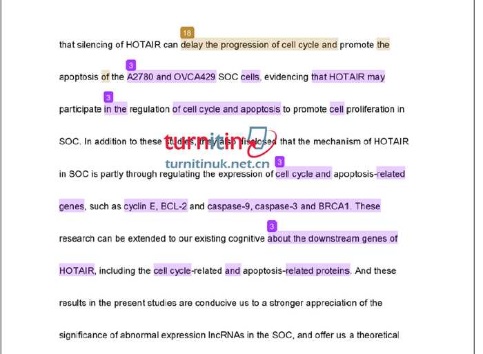 turnitin UK全文标红详细报告
