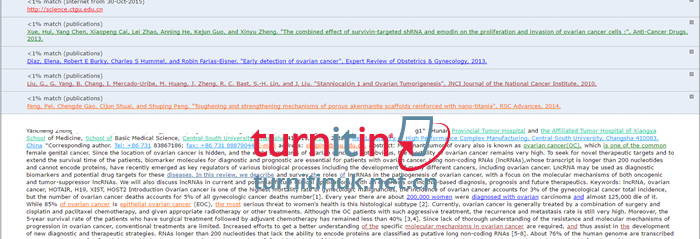 Turnitin UK QuickView报告2