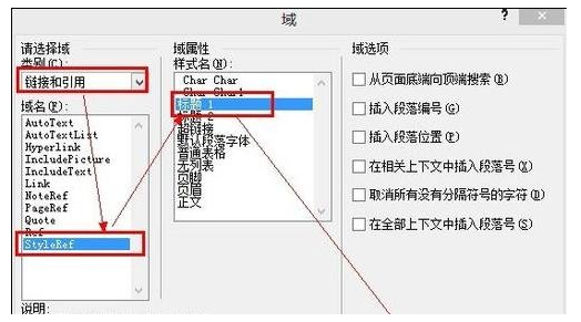 链接和引用"，然后在"域名"中选择"StyleRe