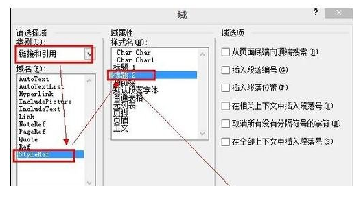 弹出的"域"对话框中，"类别"中选择"链接和引用"，然