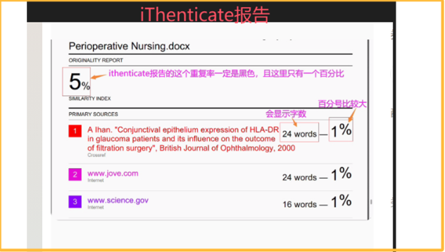 iThenticate 报告
