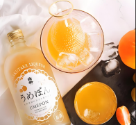 Turnitin AIGC 检测本科论文 海外高校认可吗